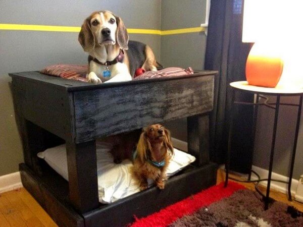 Beautiful DIY Pallet Dog Bed Design Ideas – Pallet Tips